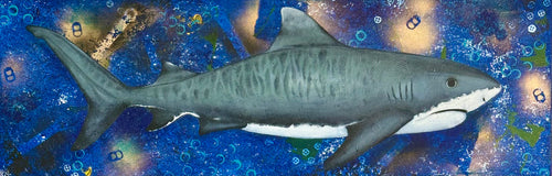Their Home. Our Waste. (No. 2) Tiger Shark - Original Acrylic Painting
